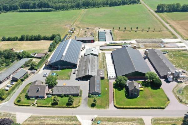 Unadjustednonraw thumb a6be